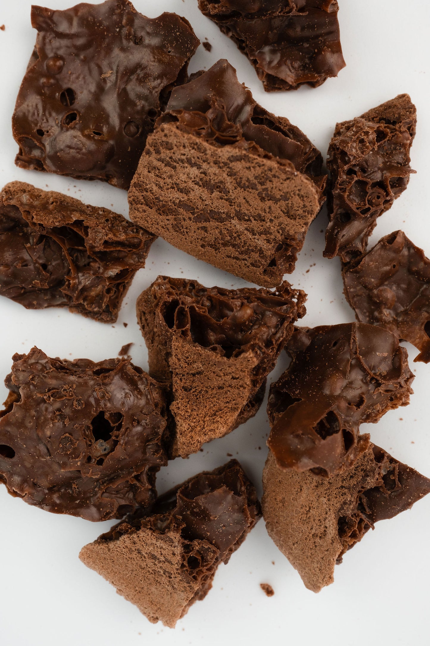 Freeze dried Chocolate ice cream