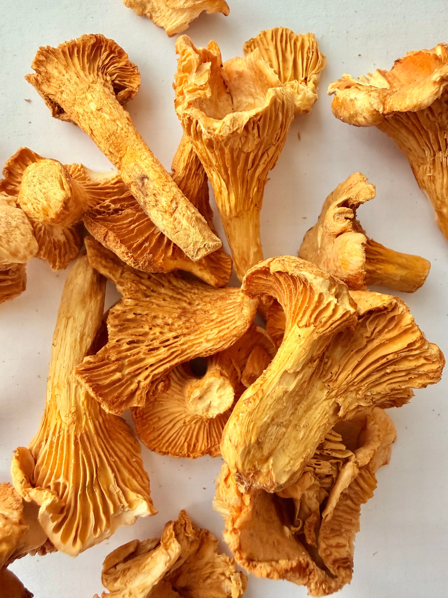 Šalčiu džiovintos voveraitės