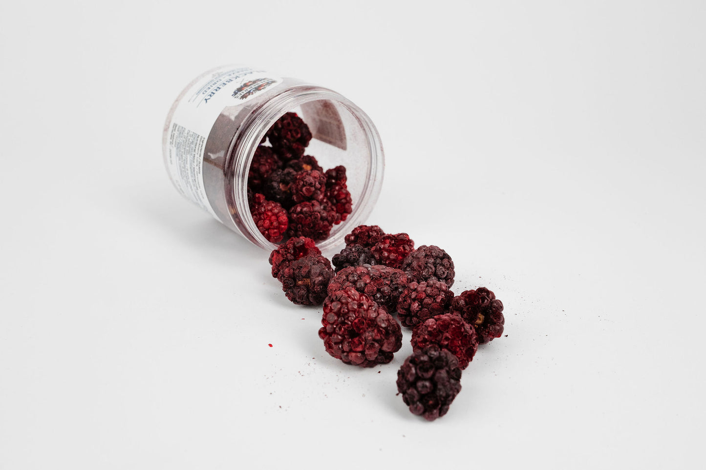 Freeze-dried Blackberries